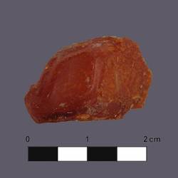 Fragment of amber