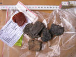 fig. 3 Natural amber pieces and pottery